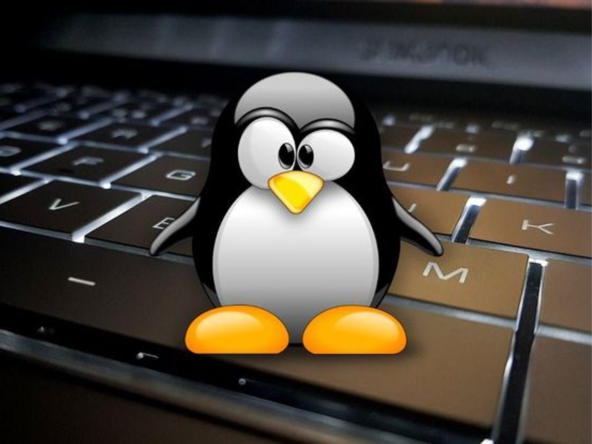 Valve'ın Proton Güncellemesi Linux'a 19 Yeni Oyun Getiriyor